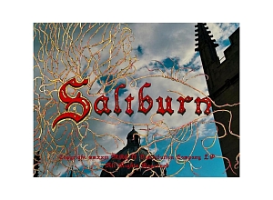 Феномен Saltburn: все, что нужно знать о горячей премьере
