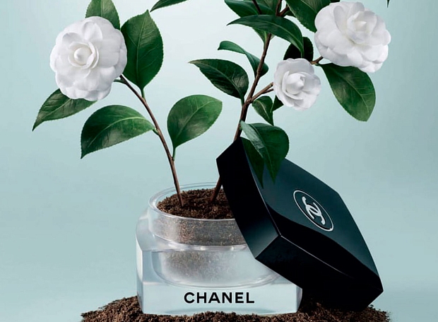 Chanel воссоздадут райские сады в центре Парижа