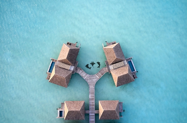 Радости жизни на курорте Le Méridien Maldives Resort & Spa фото № 3