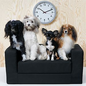 IKEA создали коллекцию для домашних животных