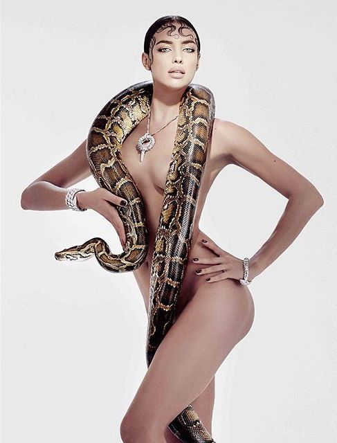 Обнаженная Ирина Шейк + змея: модель снялась в очень жаркой фотосессии фото № 1