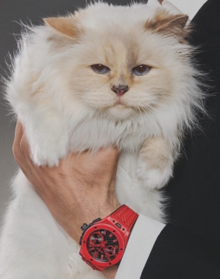 Кошка Choupette появилась в рекламной кампании Hublot