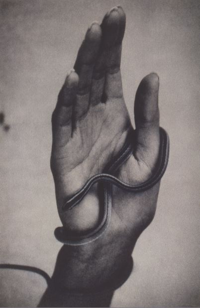 «Рука, обвитая змеей», 1994 фото № 7