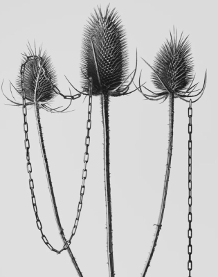 Цифровая психология. Число сознания девять