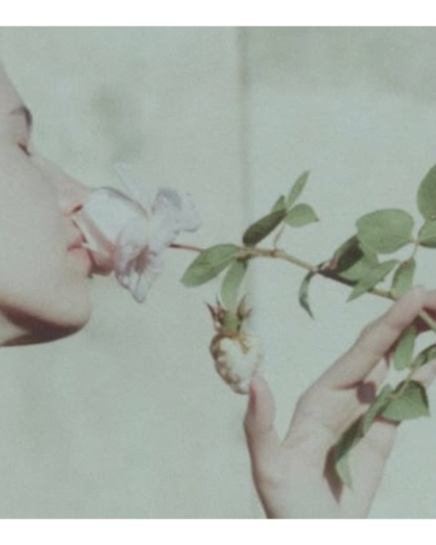 Дайджест красоты: коллаборация BABOR х банный комплекс SIBERIA, расширение гаммы Cicabio Bioderma, антивозрастной девайс для лица REMEZ