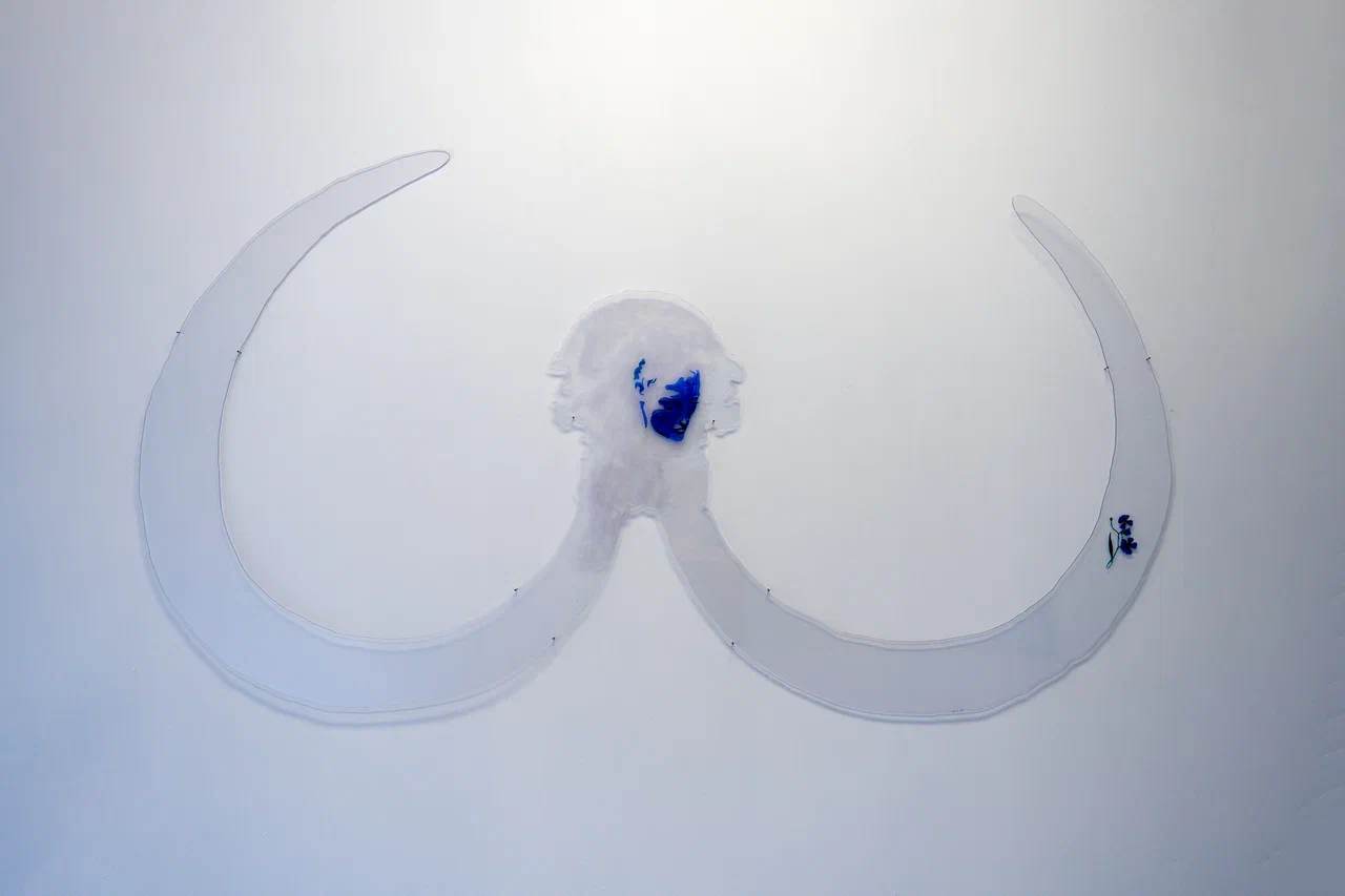 «Латимерии в саду», Нурия Нургалиева фото № 3