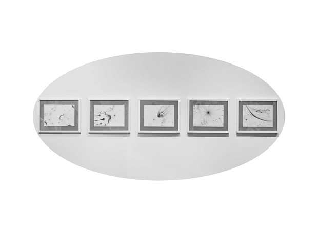 Как прошло открытие выставки  Ростана Тавасиева «Зайлярис»