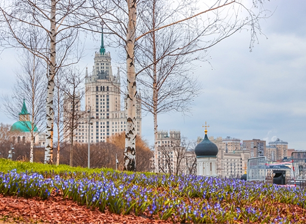 Чем заняться в Москве и Санкт-Петербурге 25 апреля — 1 мая: цветущие парки, новые выставки и дегустация икры
