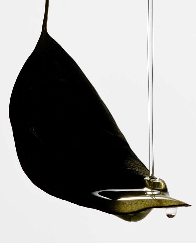 @necessaire фото № 2