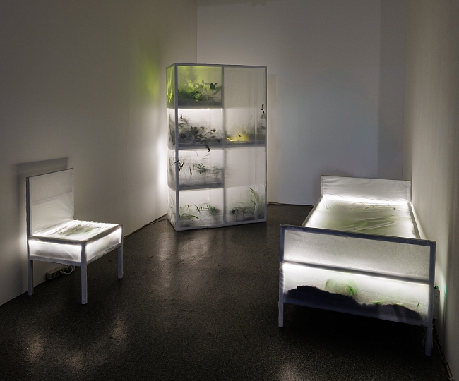 Выставка «Прорастание» фото № 4