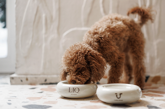 Гастро-неделя: бранч в Pomme Verte, Lucky Group x LIQ petbar и зимнее меню в Garage Café фото № 2