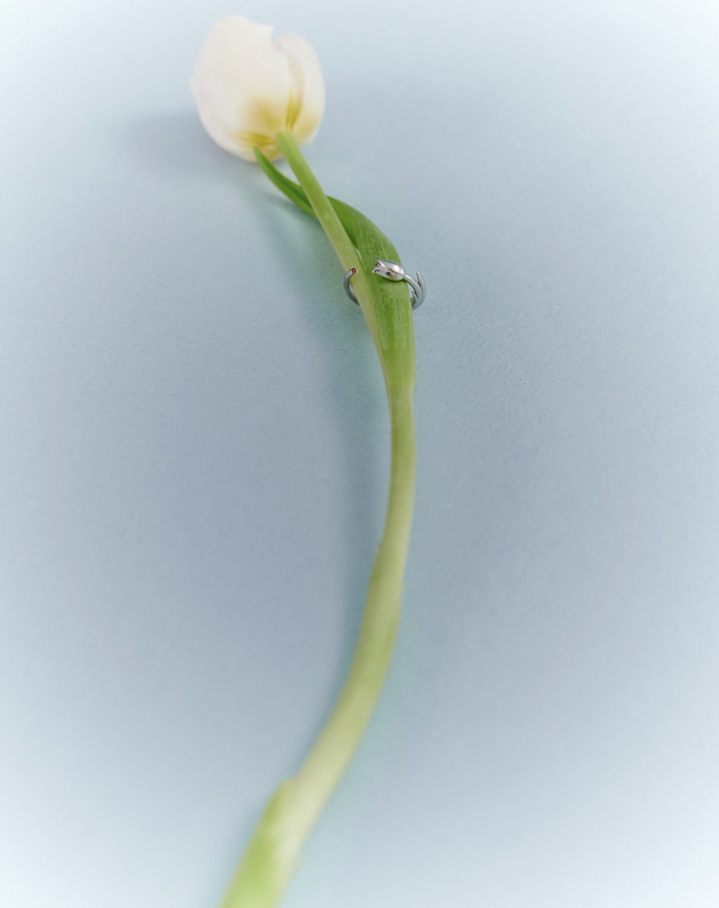 Модный дайджест: коллаборация Avgvst х J.Kim, весенняя коллекция STELMY и другие новости фото № 9