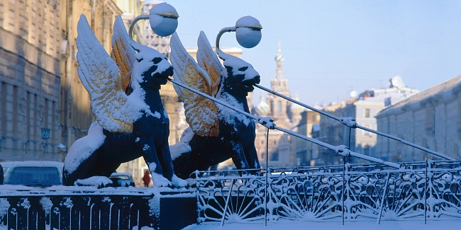 Зимние каникулы в Петербурге: в какие музеи пойти и какие пригороды посетить фото № 3