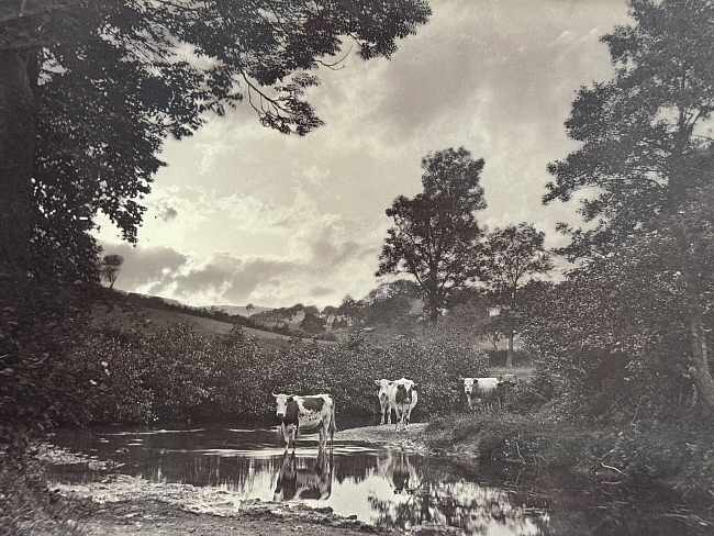 Выставка «Шедевры ранней фотографии. 1840-е – 1860-е» фото № 1