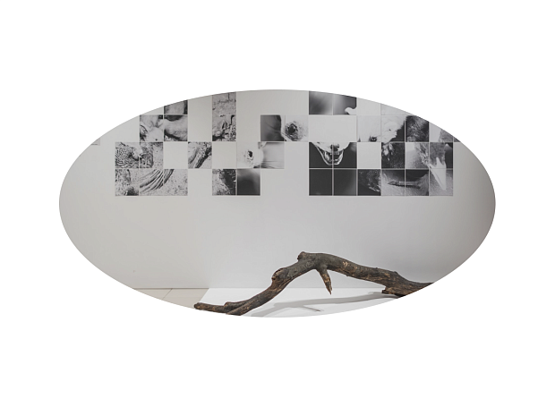 Итоги III ежегодной премии в области современного искусства SCAN AWARDS