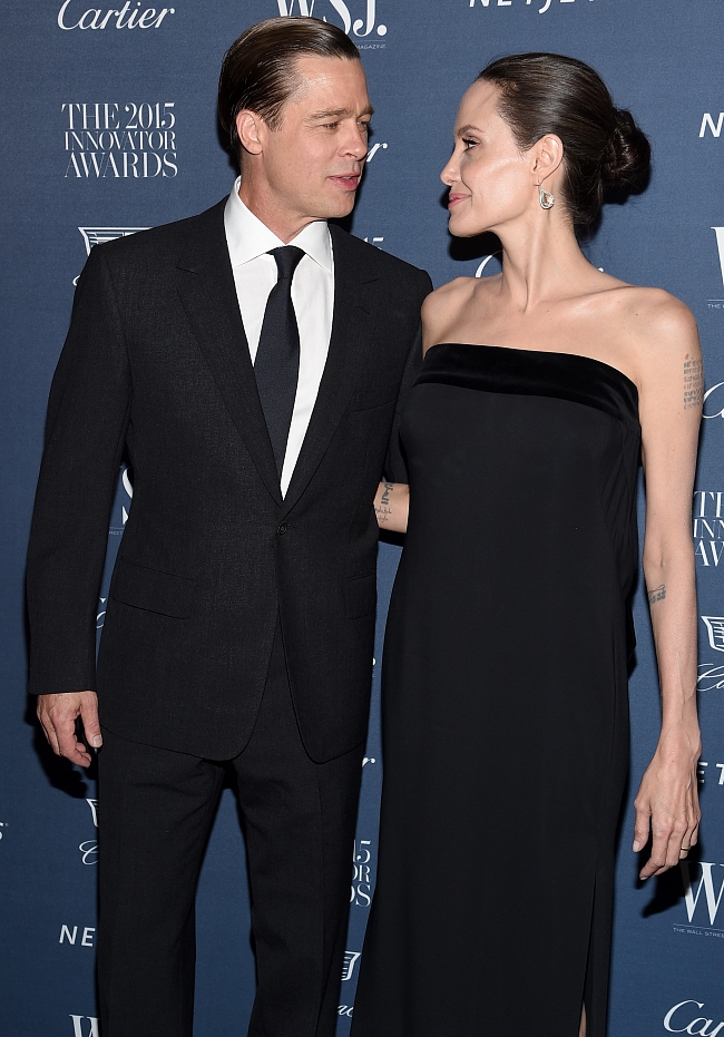Анджелина Джоли и Брэд Питт до сих пор не могут развестись — все из-за их винодельни фото № 1