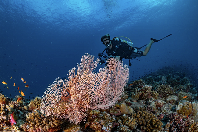 Как одна поездка в The Westin Maldives изменила представление об идеальном отдыхе фото № 6