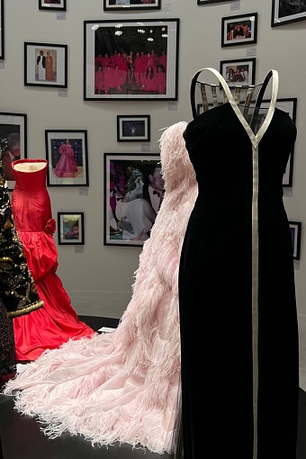 Платье Джулии Робертс на выставке Forever – Valentino в Дохе фото № 17