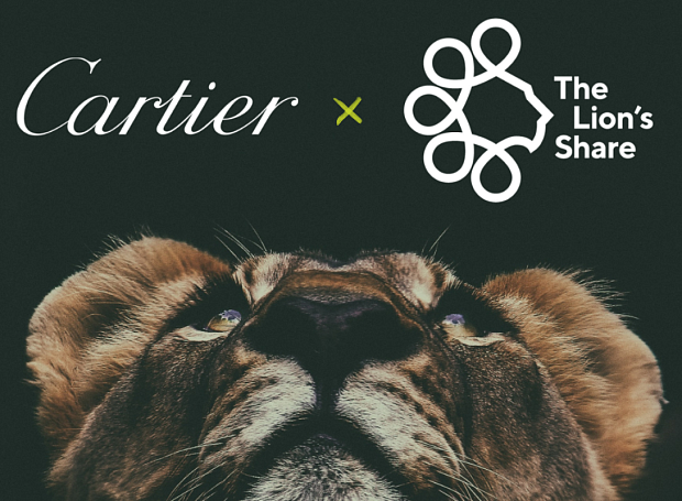 Cartier начали сотрудничество с организацией Lion’s Share Fund