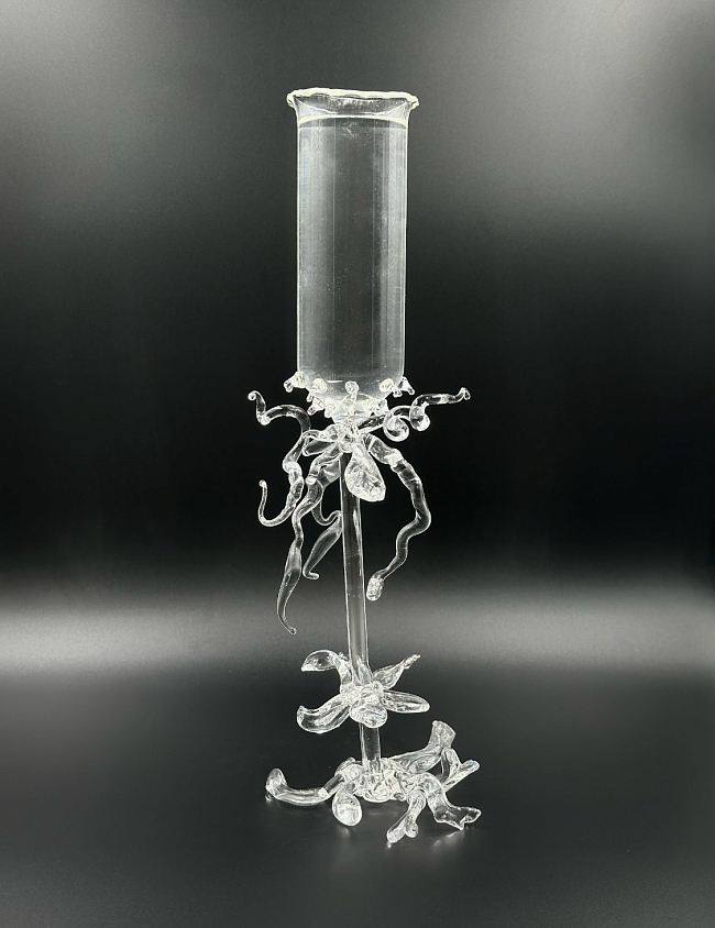 Женя Тулянкина, «Бокал чистый» фото № 7