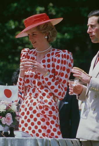 Принцесса Диана, 1986 г. фото № 14