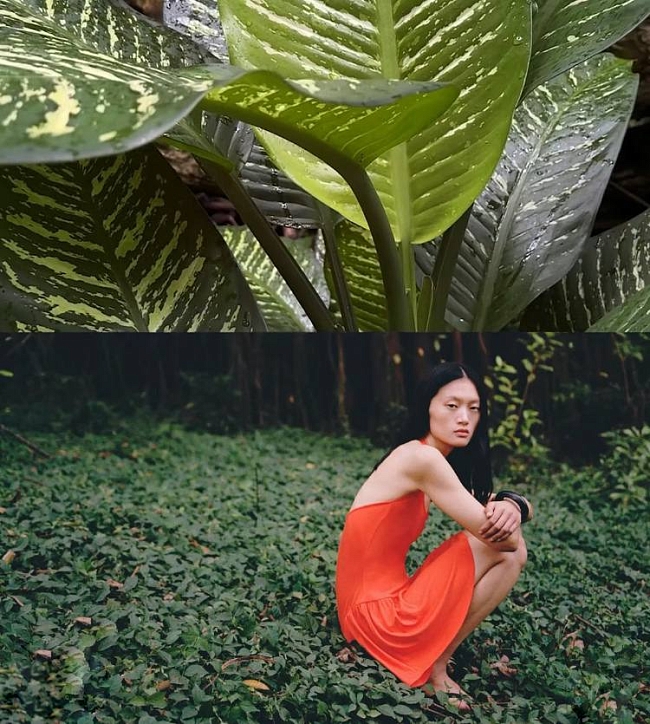 принцип действия: алоэ вера — универсальный компонент уходовой косметики. и вот, что о нем полезно знать фото № 1 @aritzia фото № 1