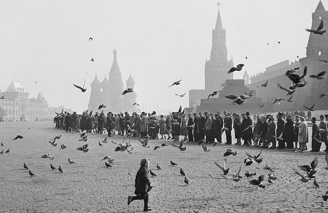 «Голуби на Красной площади. К Ленину», 1950-е фото № 3