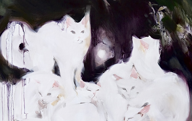 «Выставка кошек» от PAWS COMMS x Set Projects фото № 2