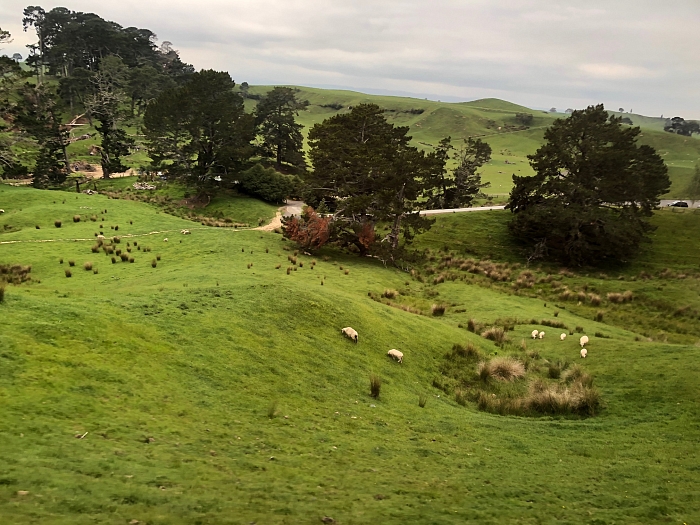 Новозеландский пейзаж фото № 36