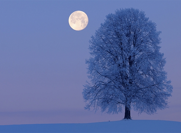 Самая яркая ночь февраля: как использовать магию последнего полнолуния зимы