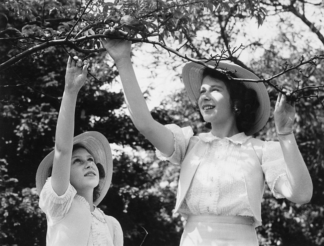 Принцесса Елизавета и принцесса Маргарет, 1941 год. фото № 2