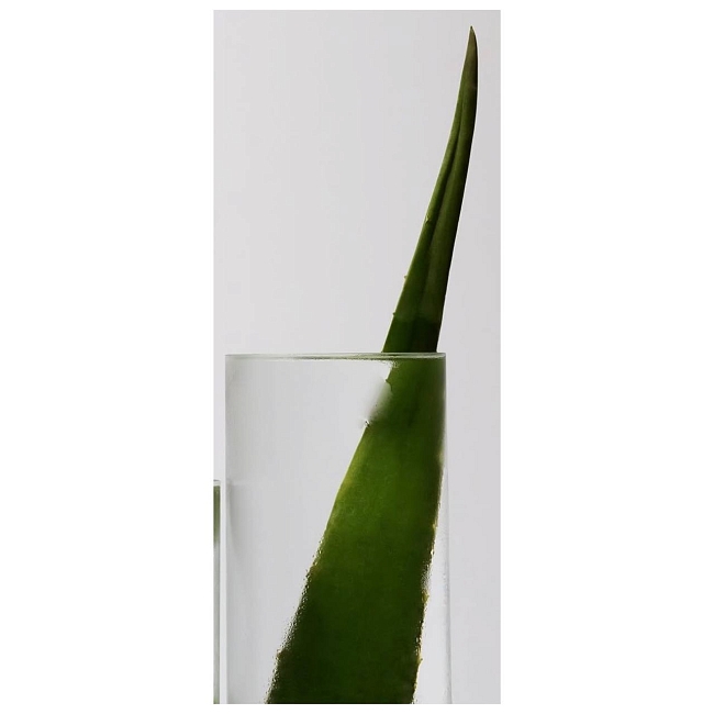 @holikaholika_official фото № 5