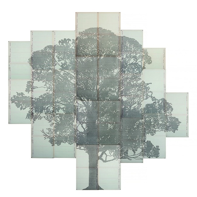 Джоанна Калле. Sangregado, Series Perimetros, выставка Trees, Fondation Cartier pour l’art contemporain фото № 6