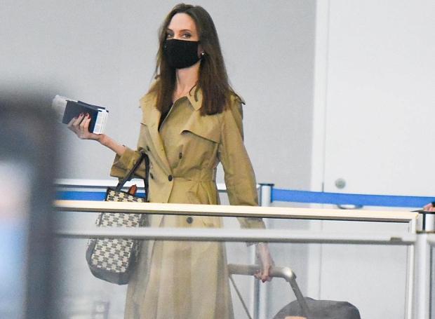 С какими чемоданами путешествуют Анджелина Джоли и другие знаменитости, и где купить такие же