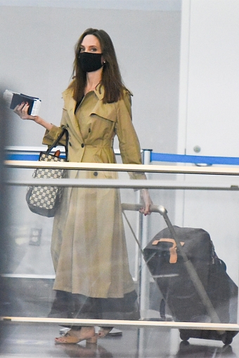 Анджелина Джоли в аэропорту JFK с чемоданом Louis Vuitton Horizon Soft 65, 2021 фото № 1