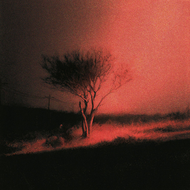 Что мы слушали в феврале: музыкальные новинки месяца фото № 4