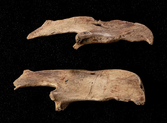 Зооморфная подвеска-медведь фото № 5