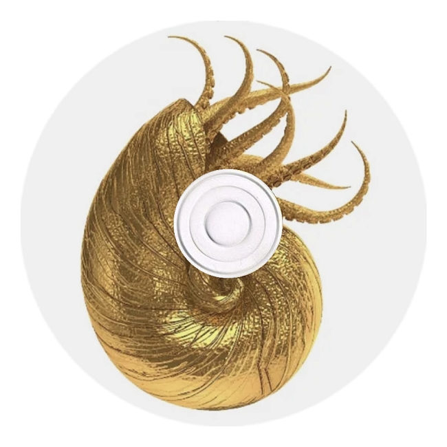 Что слушает ray! фото № 4