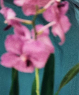 девид сайднер: перфекционизм, yves saint laurent и цветы фото № 11 Орхидея, 1999 фото № 11