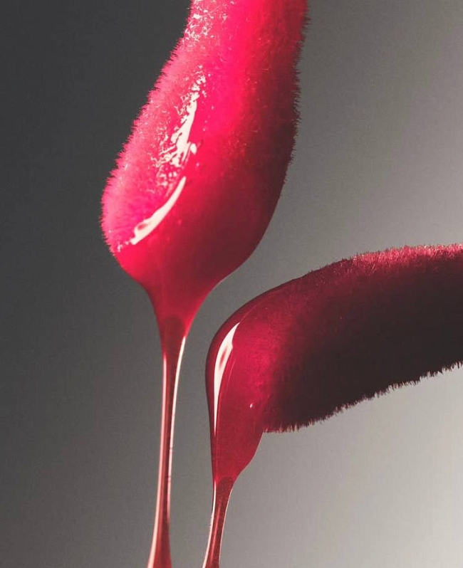 @kyliecosmetics фото № 2