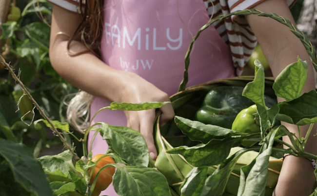 Семейный отдых со смыслом — в зеленый рай с заботой о природе фото № 6