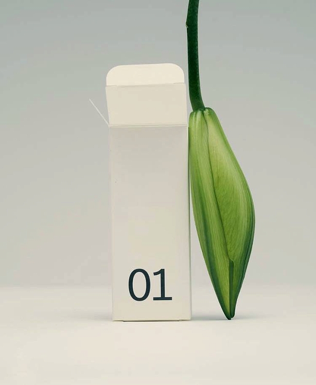 принцип действия: алоэ вера — универсальный компонент уходовой косметики. и вот, что о нем полезно знать фото № 4 @typologyparis фото № 4