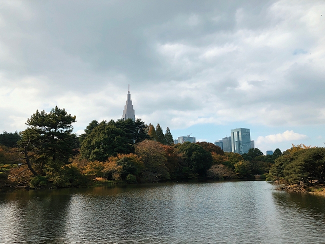 Парк Синдзюку-Гёэн, Токио фото № 8