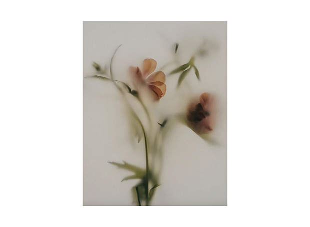 Светский вестник: презентация, премьера и открытия 