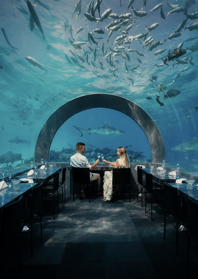 Подводный ресторан H2O фото № 5