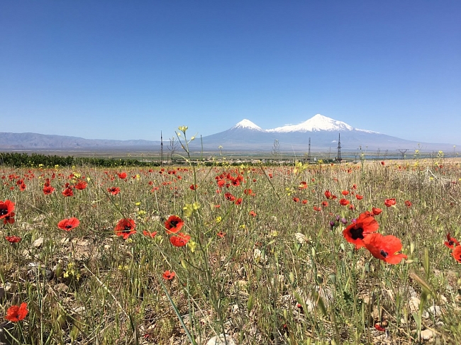 5 фестивалей Армении, которые стоит посетить в 2020 году фото № 1