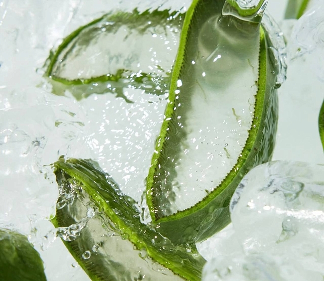 @holikaholika_official фото № 1