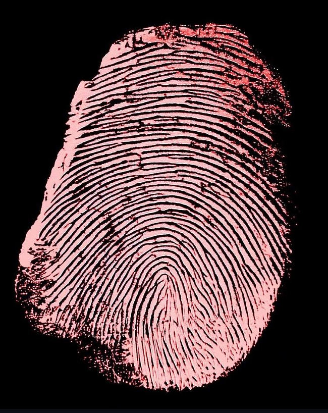 Дорогие наши. Изучаем мнения российских производителей в попытках понять, ждать ли дорогих линий Made in Russia фото № 5