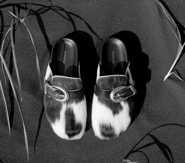 Ekonika фото № 4