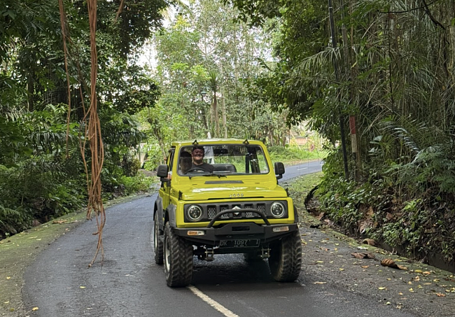 Священный лес недалеко от деревни Таро, Убуд, Бали фото № 8